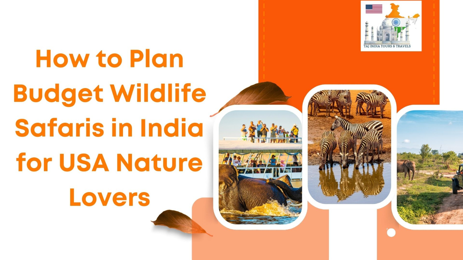 How to Plan Budget Wildlife Safaris in India for USA Nature Lovers tajmahal.travel